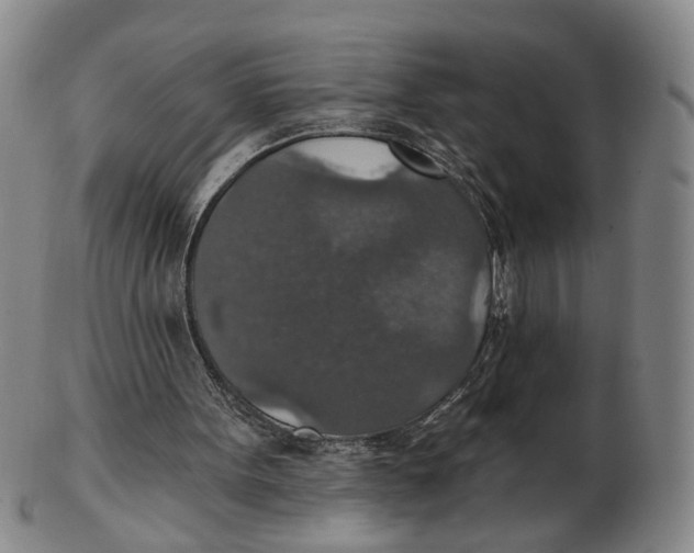 X0000102770099200809081014