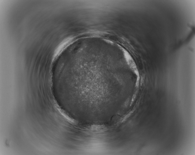 X0000102770101200809081014