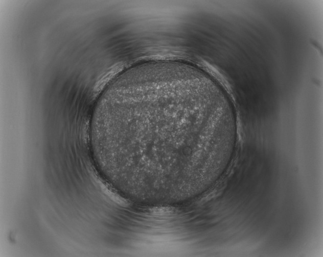 X0000102770105200809081014