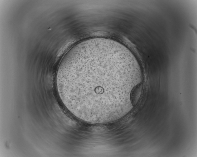 X0000102770106200809081014