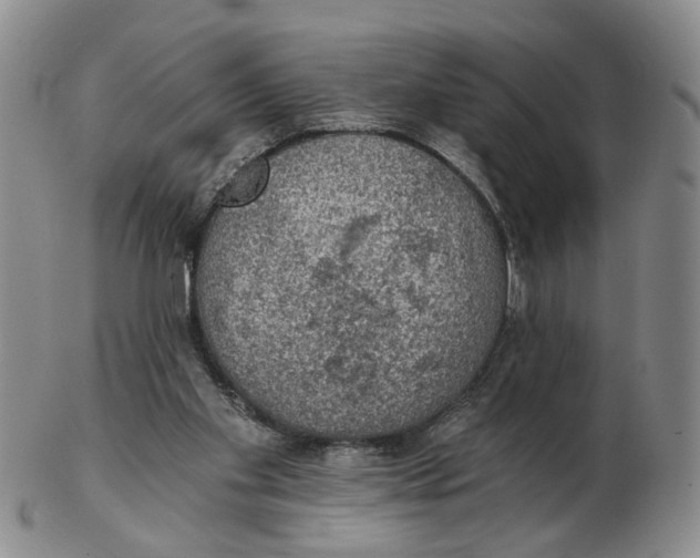 X0000102770109200809081013