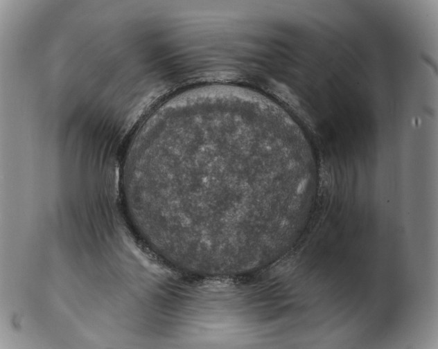 X0000102770110200809081013