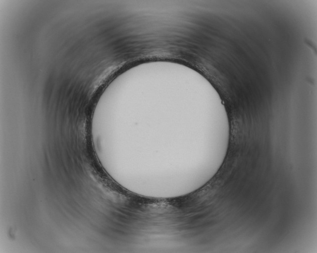 X0000102770112200809081013