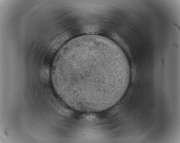 X0000102770113200809081013