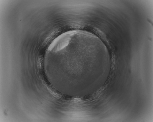 X0000102770114200809081013