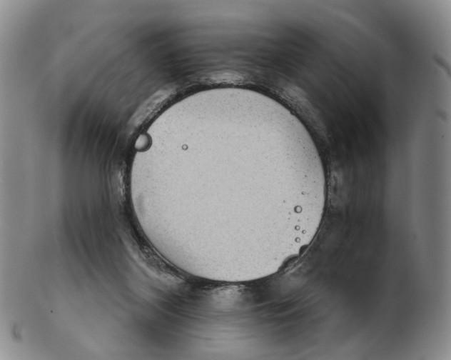 X0000102770116200809081013