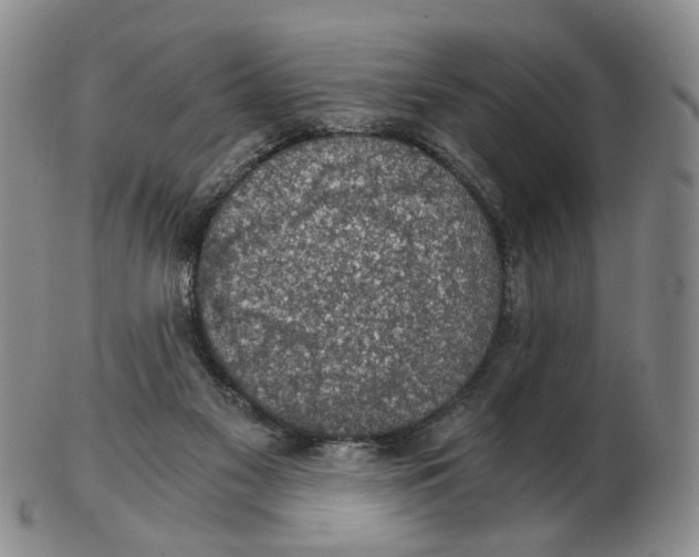 X0000102770117200809081013