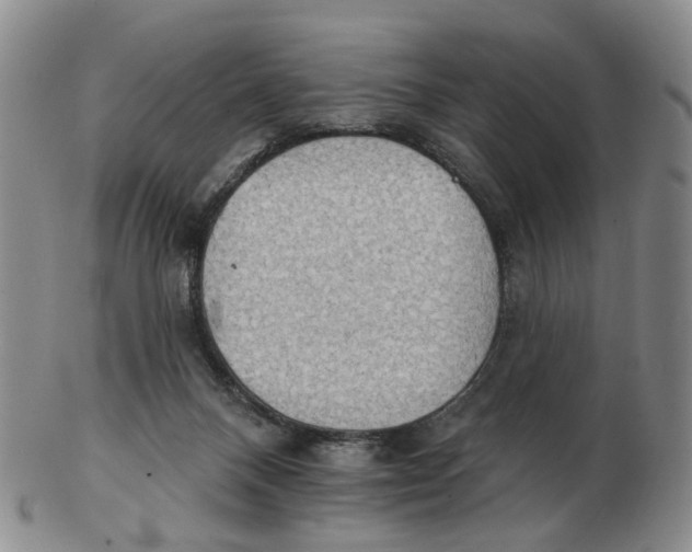 X0000102770120200809081013