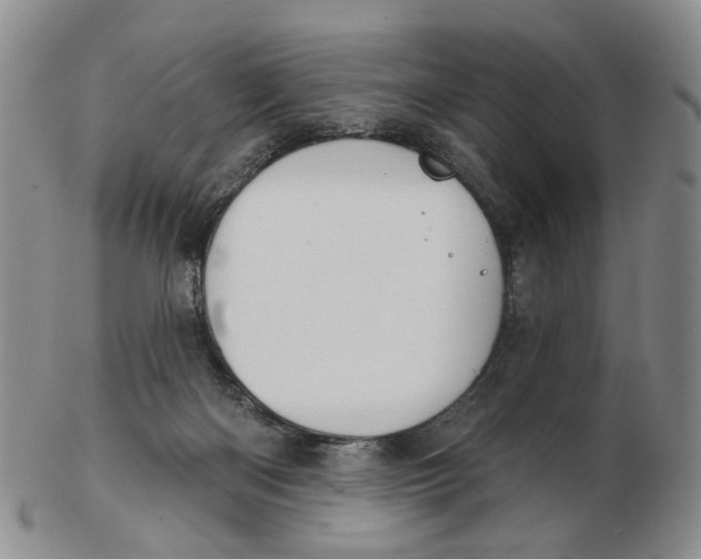 X0000102770122200809081013