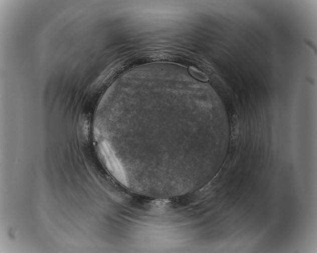 X0000102770124200809081013