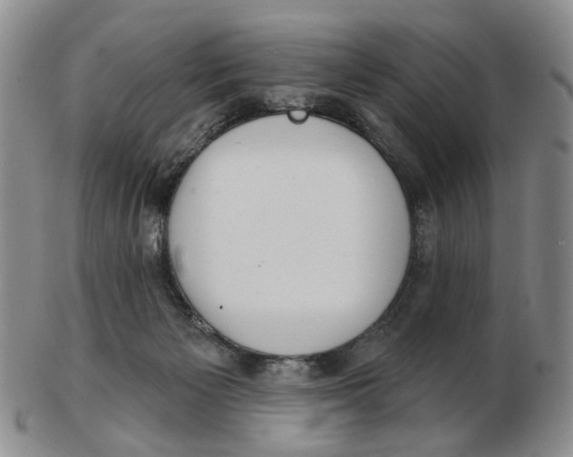 X0000102770125200809081013