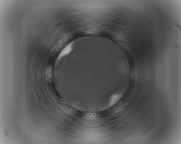 X0000102770127200809081013