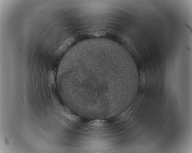 X0000102770128200809081013