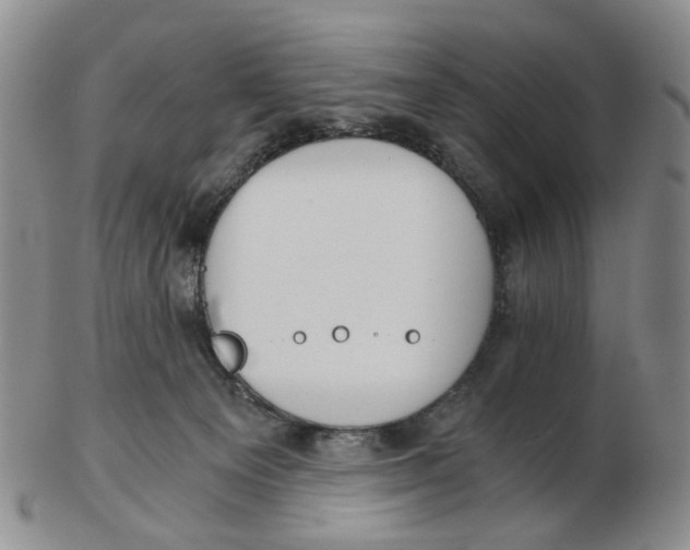 X0000102770129200809081013