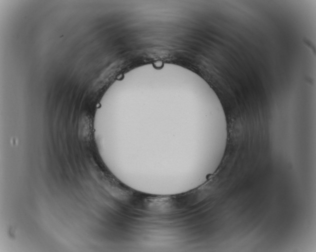 X0000102770132200809081013