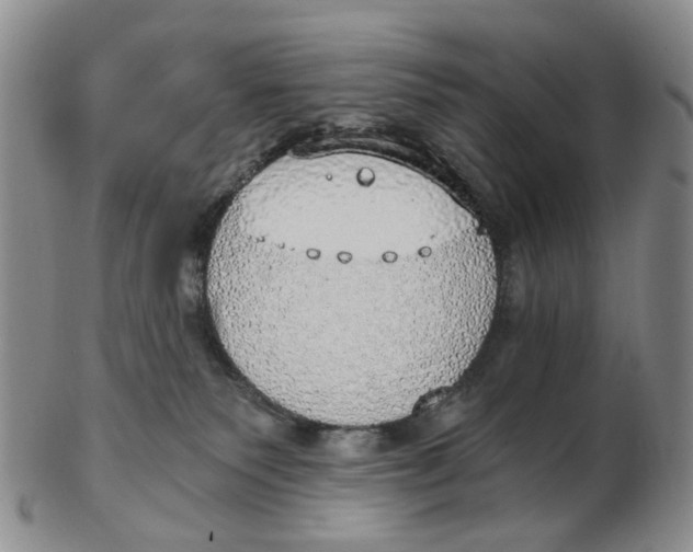 X0000102770135200809081013