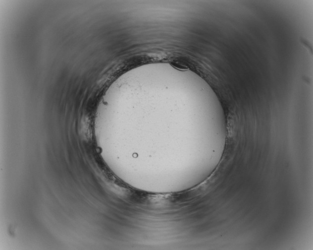 X0000102770136200809081013