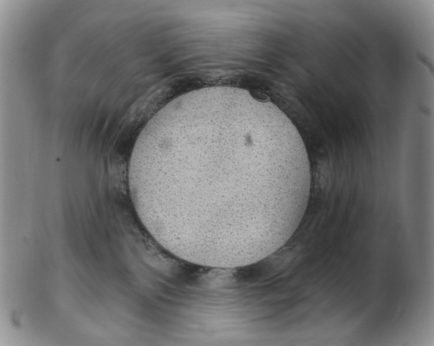 X0000102770138200809081013