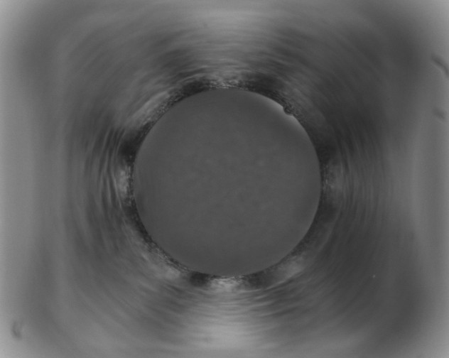 X0000102770139200809081013