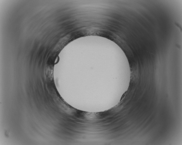 X0000102770142200809081013