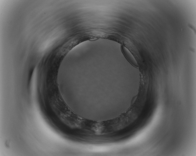 X0000102770143200809081013