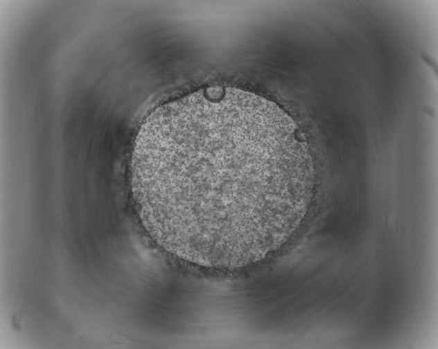 X0000102770144200809081013