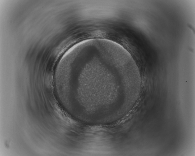 X0000102770146200809081012