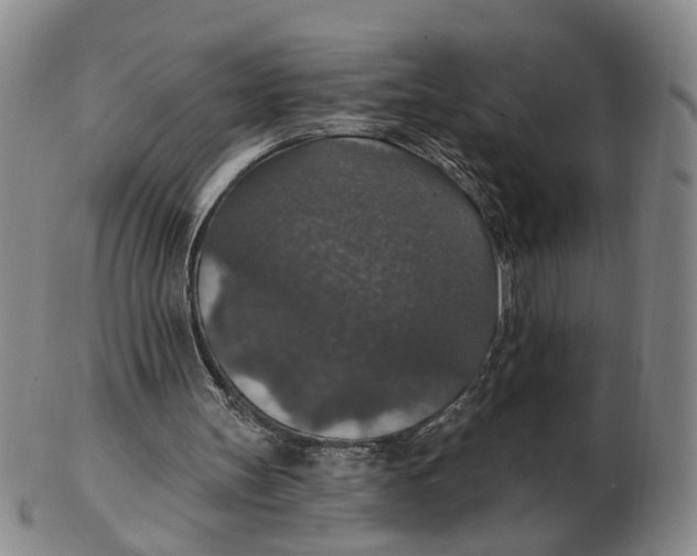 X0000102770147200809081012