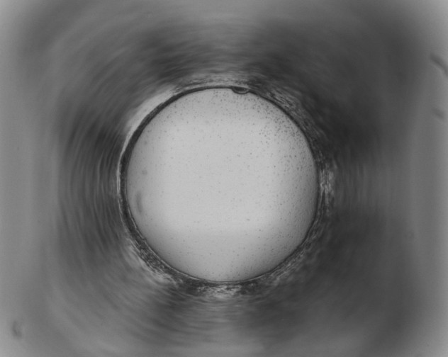 X0000102770148200809081012