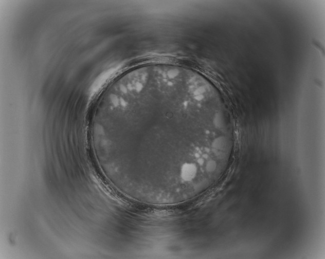 X0000102770149200809081012