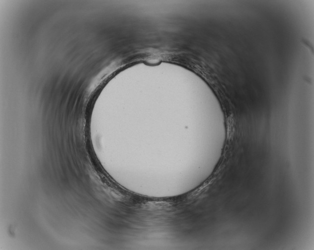 X0000102770150200809081012