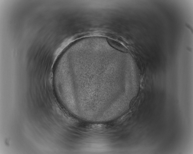 X0000102770152200809081012