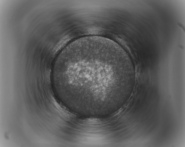 X0000102770154200809081012