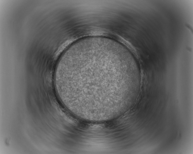 X0000102770155200809081012