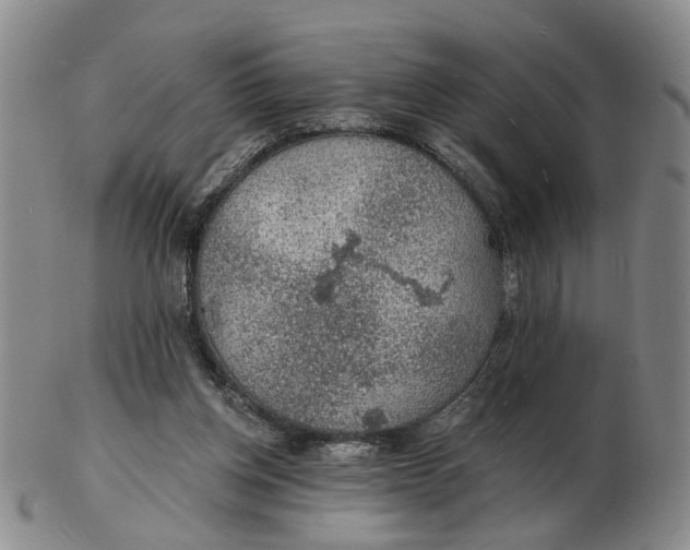 X0000102770158200809081013