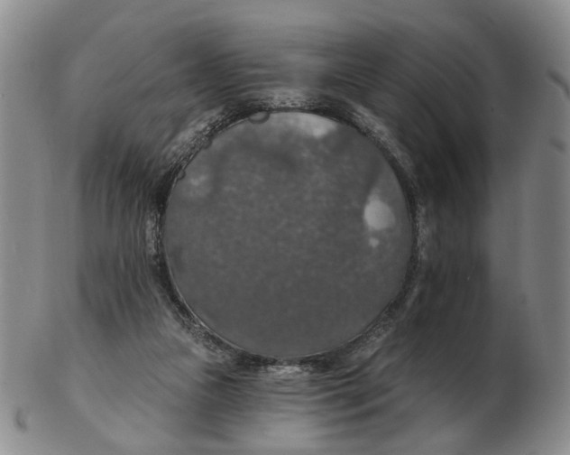 X0000102770161200809081013