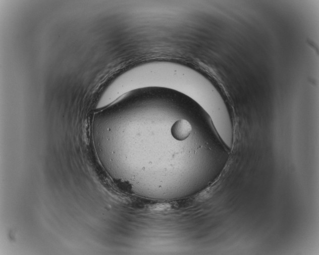 X0000102770162200809081013