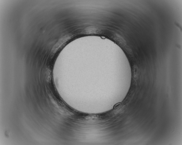 X0000102770164200809081013