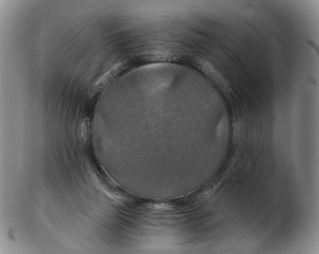 X0000102770165200809081013