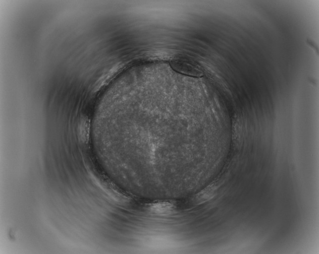 X0000102770168200809081013