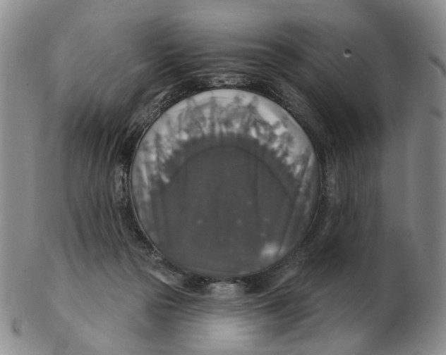 X0000102770169200809081013