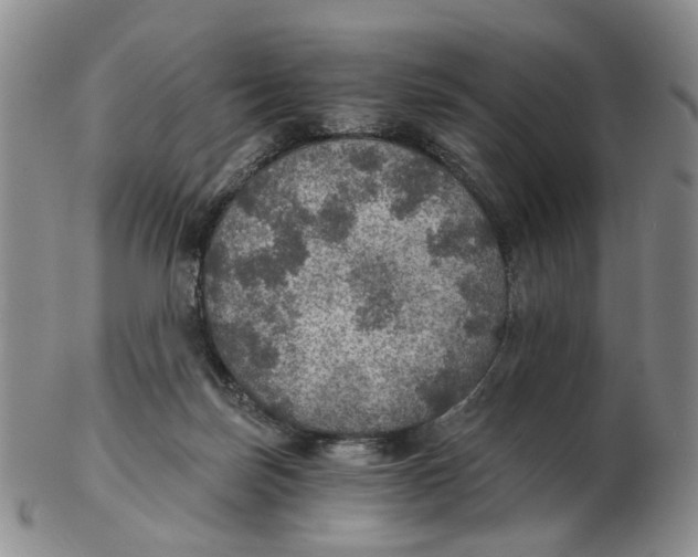 X0000102770171200809081013