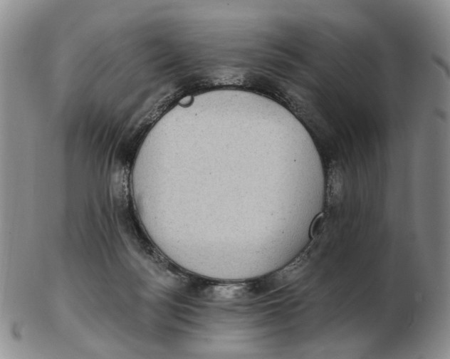 X0000102770172200809081013