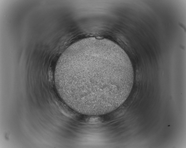 X0000102770173200809081013