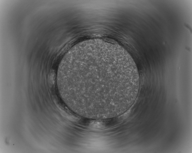 X0000102770174200809081013