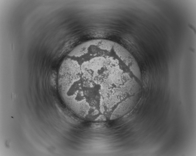 X0000102770175200809081013