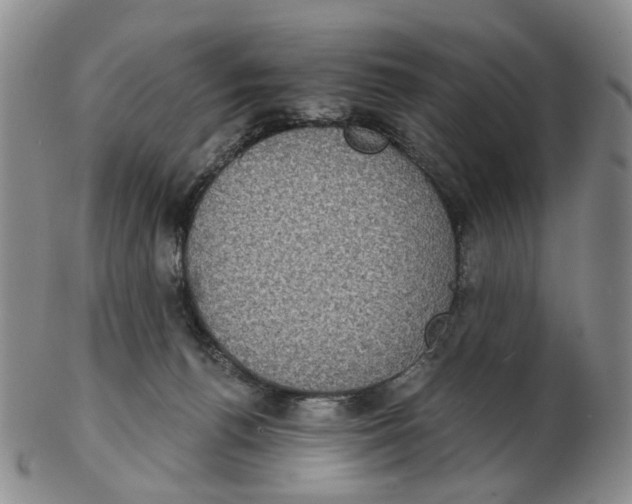 X0000102770176200809081013