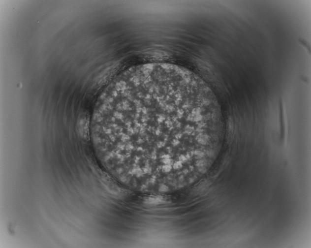 X0000102770177200809081013