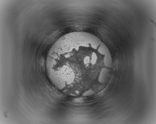 X0000102770178200809081013