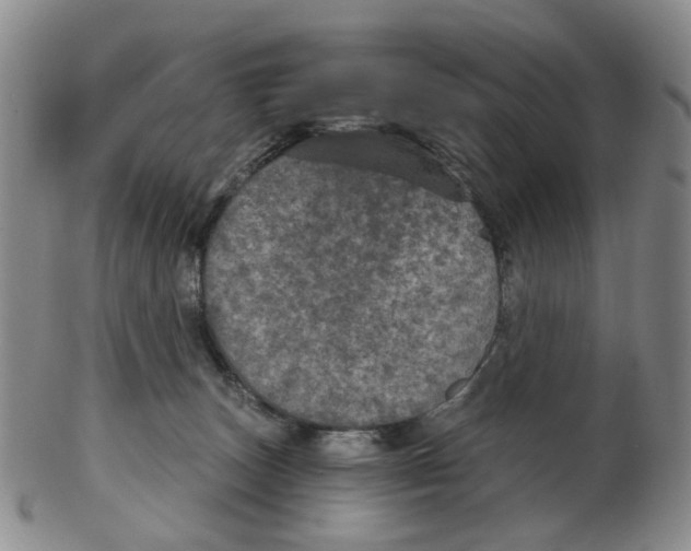 X0000102770179200809081013